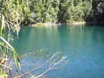 Lake Eacham fringed by pristine rainforest
