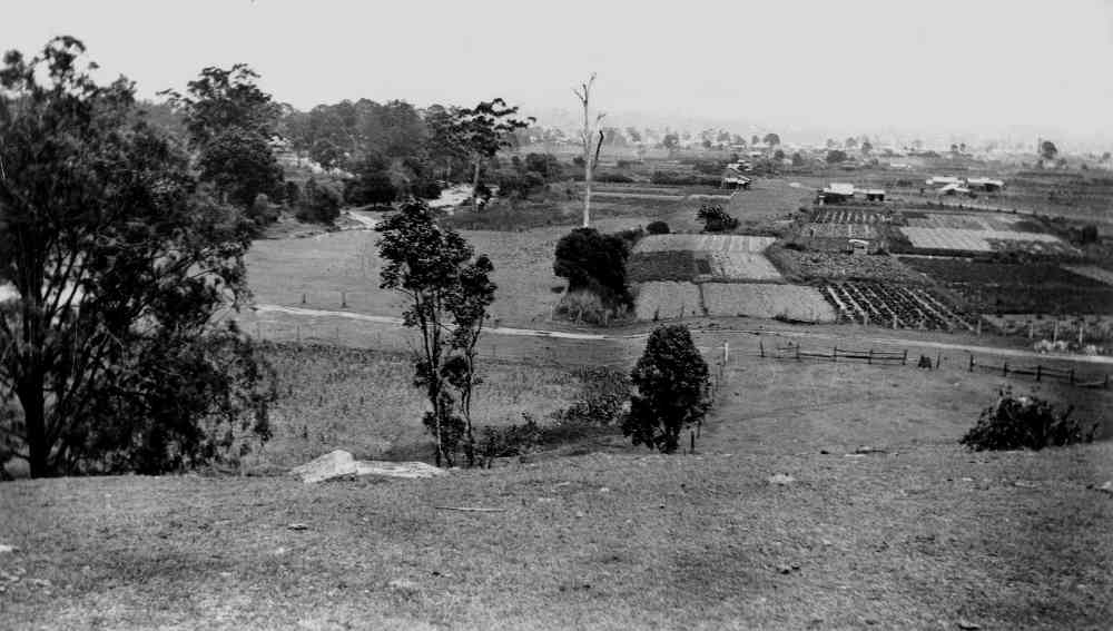 Chinese Market gardens in Mitchelton, Brisbane