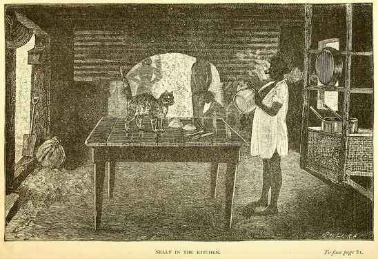 Nelly in the kitchen at Herbert Vale original illustration from Lumholtz, 1889