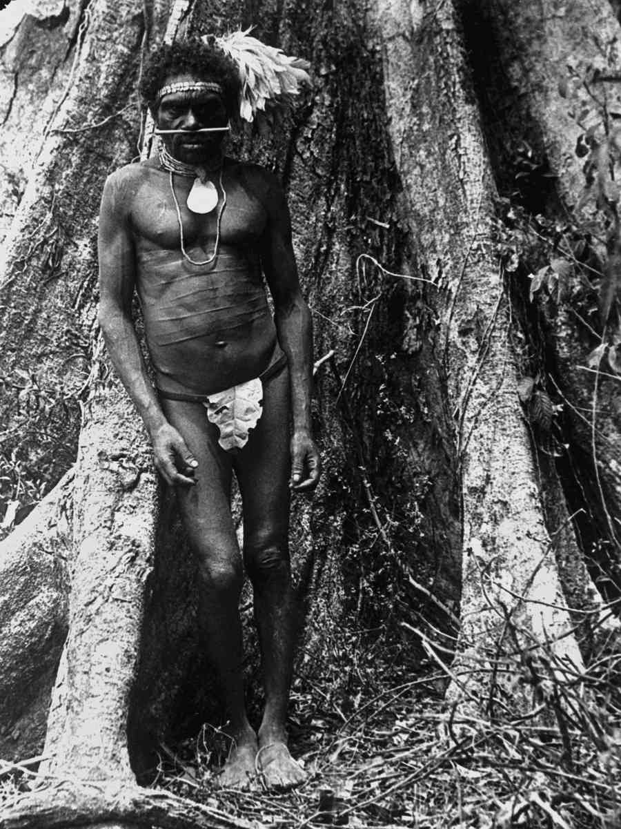 aboriginal man on the Atherton Tablelands in the 1890s