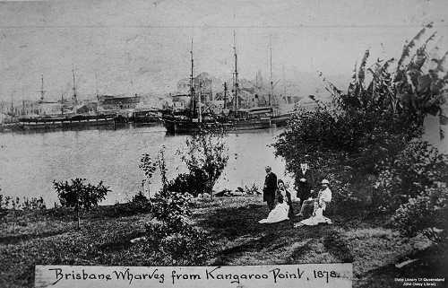 A view of Eagle Street Wharves from Kangaroo Point, 1880