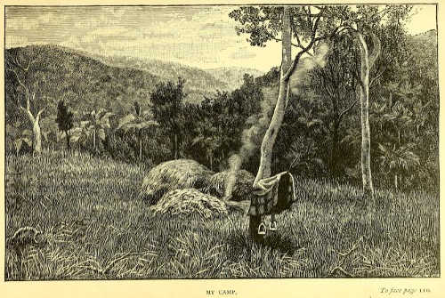 sketch of Lumholtz' camp original illustration from Lumholtz, 1889