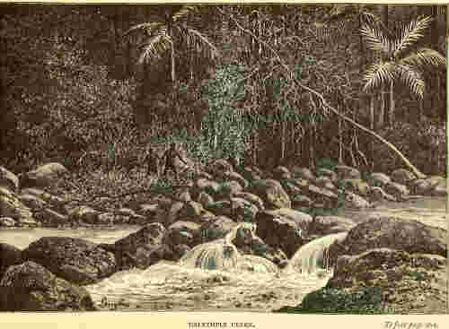 Dalrymple Creek near Cardwell, North Queensland