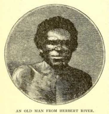 An old man from Herbert River, North Queensland. Original illustration from Lumholtz, 1889