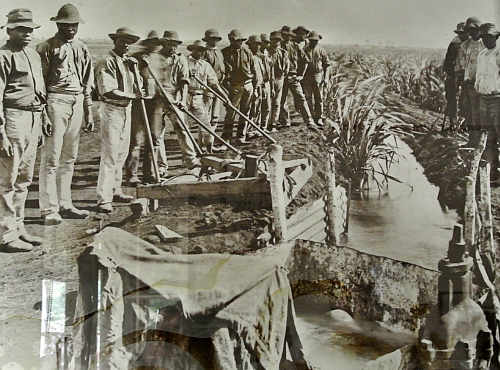 South Sea islanders working on an irrigation ditch near Bundaberg,
Queensland sometime in the late 19th century.