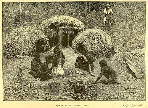 Snake feast in my camp, original illustration from Lumholtz, 1889