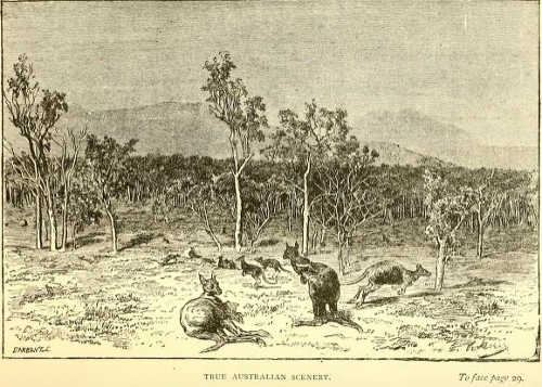 original illustration from Lumholtz, 1889: true Australian scenery