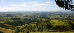 view of the Atherton Tablelands from Millaa Millaa lookout